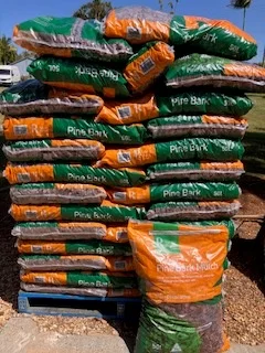 KINGSCLIFF NURSERY IS SITUATED ON 5 ACRES WHERE WE PROPAGATE ,GROW AND SELL DIRECT TO YOU