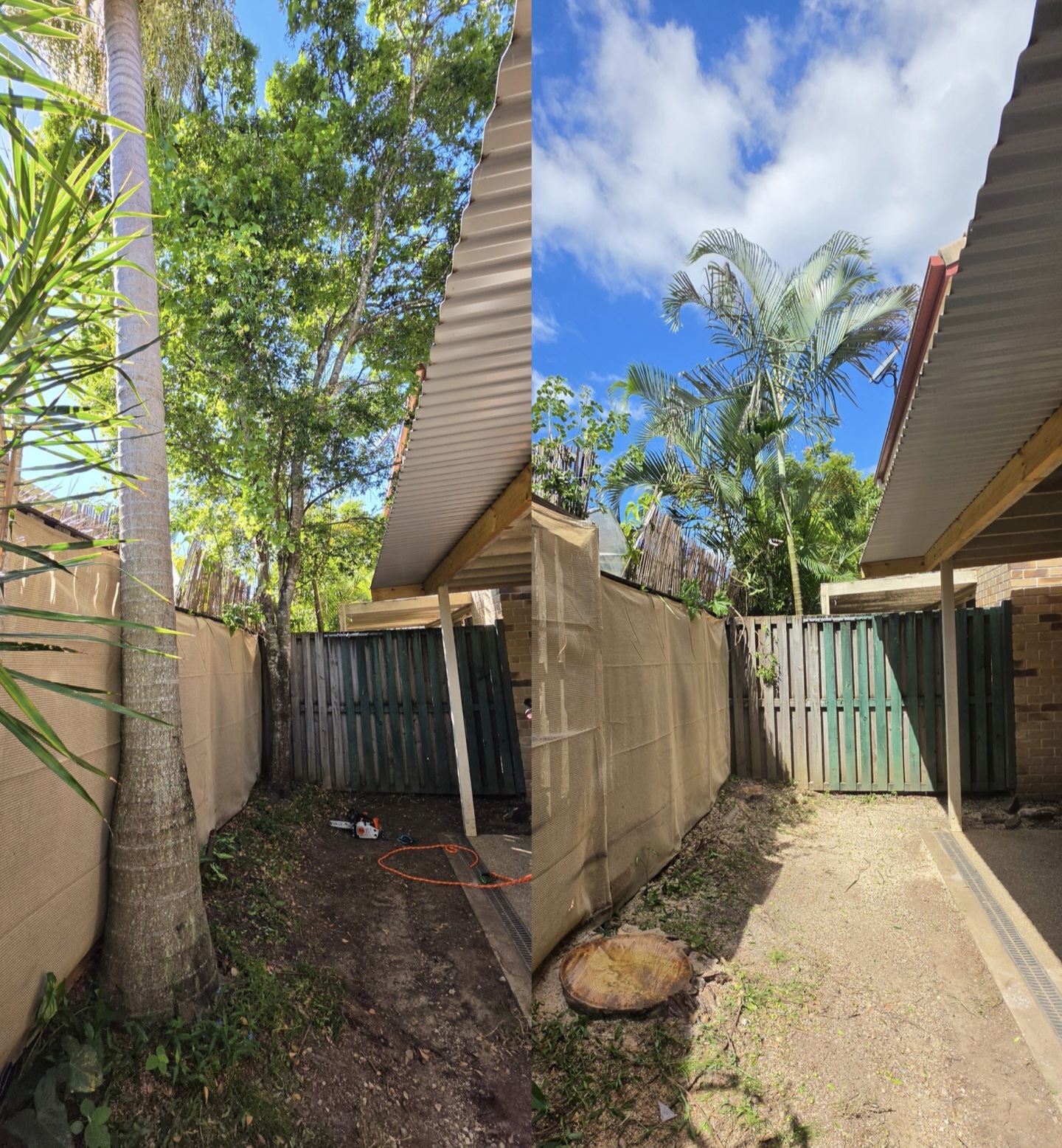 Screenshot_20260417_090539_Gallery