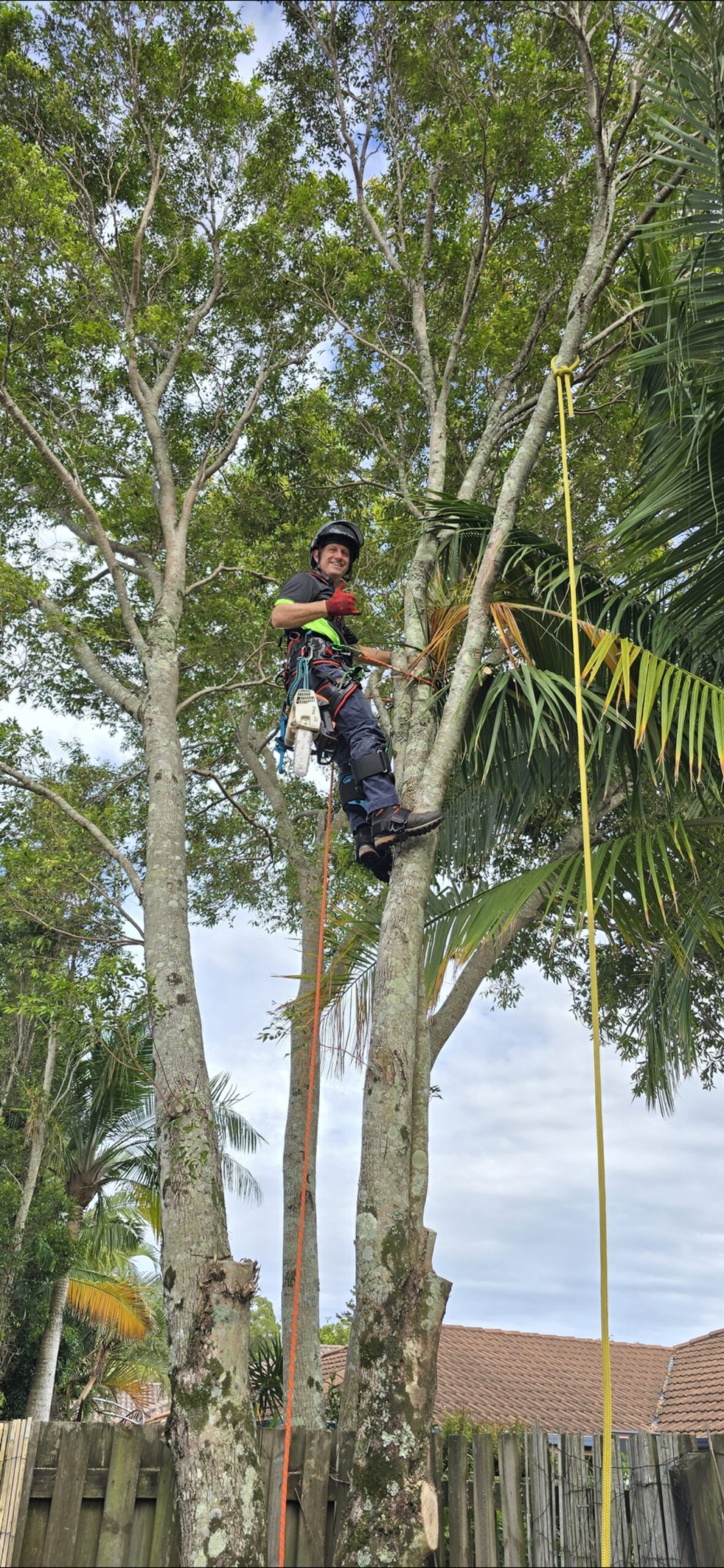 Screenshot_20260417_092105_Gallery